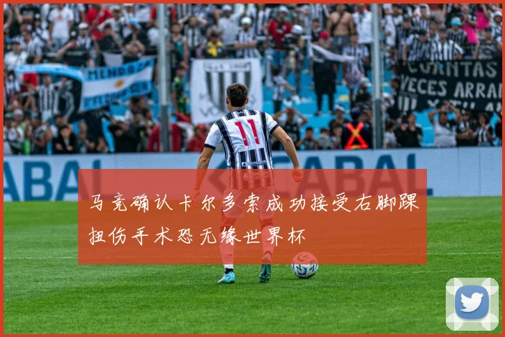 马竞确认卡尔多索成功接受右脚踝扭伤手术恐无缘世界杯