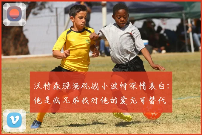 沃特森现场观战小波特深情表白：他是我兄弟我对他的爱无可替代